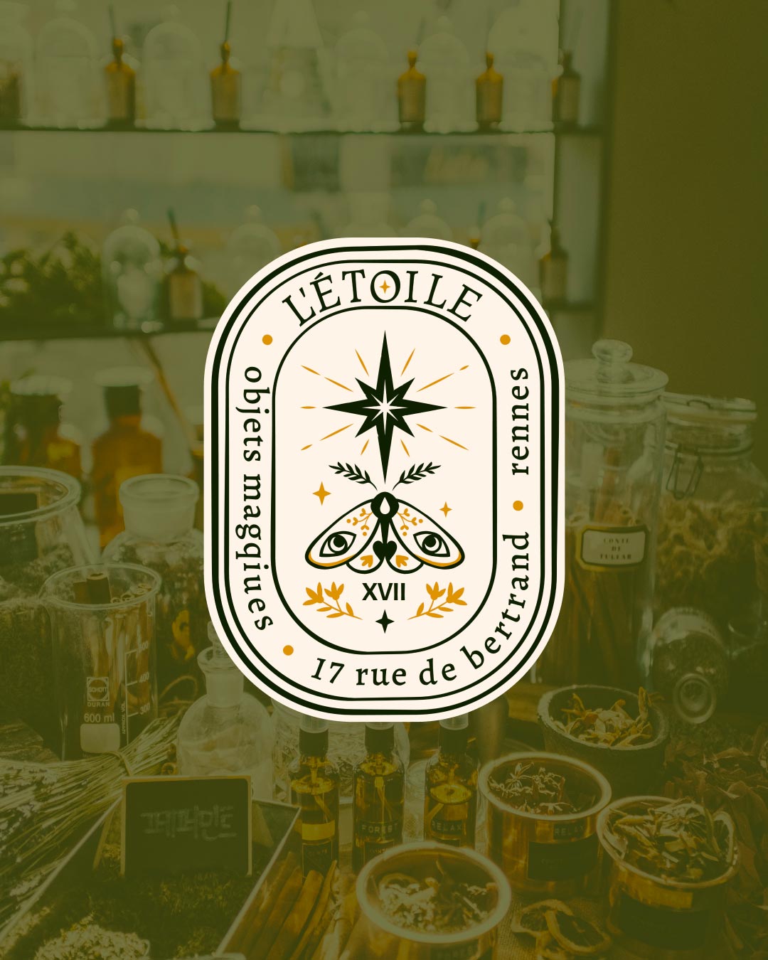 solaire-studio-portfolio-projet-letoile-logo-principal