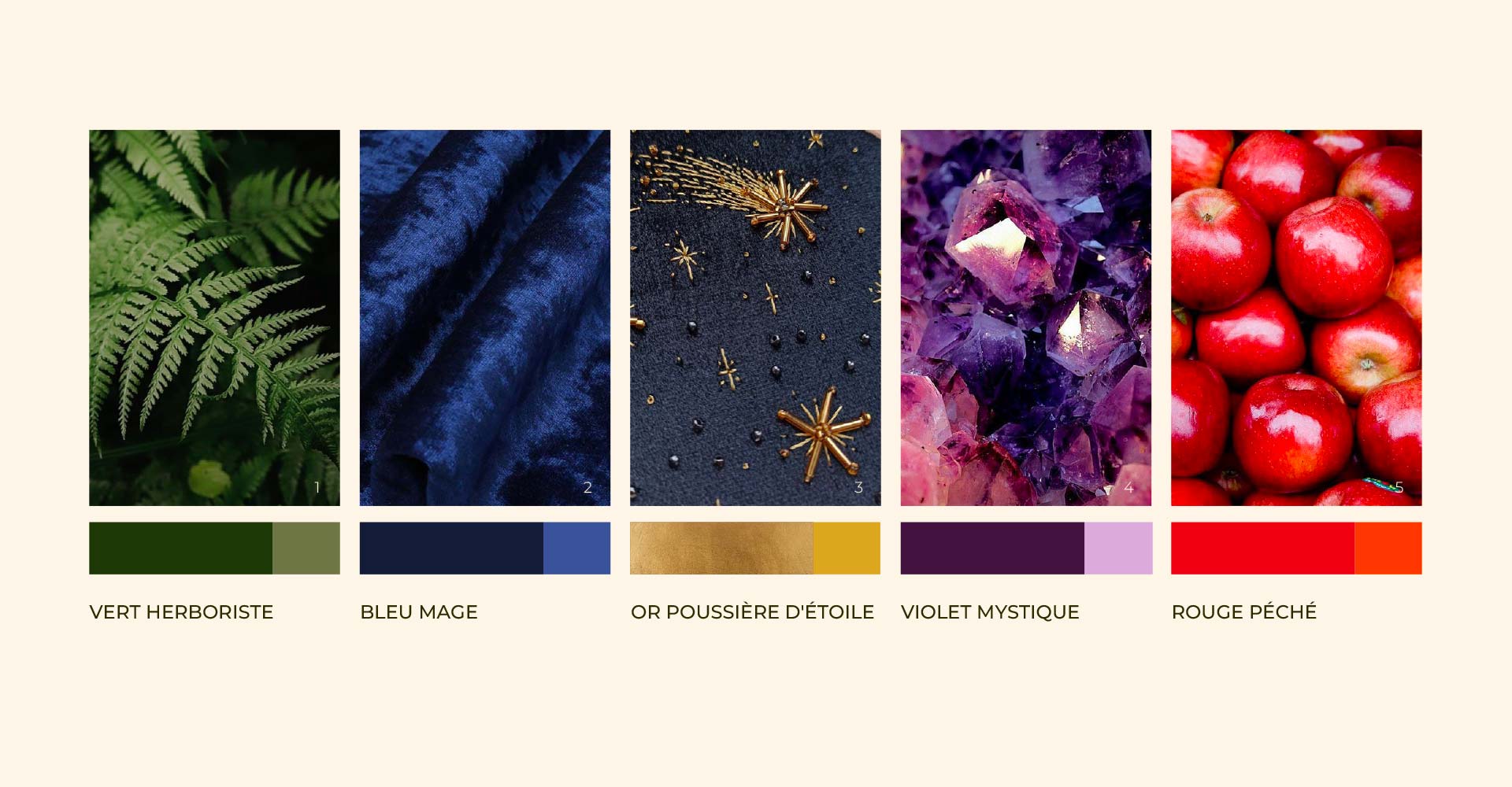 solaire-studio-portfolio-projet-letoile-planche-couleurs