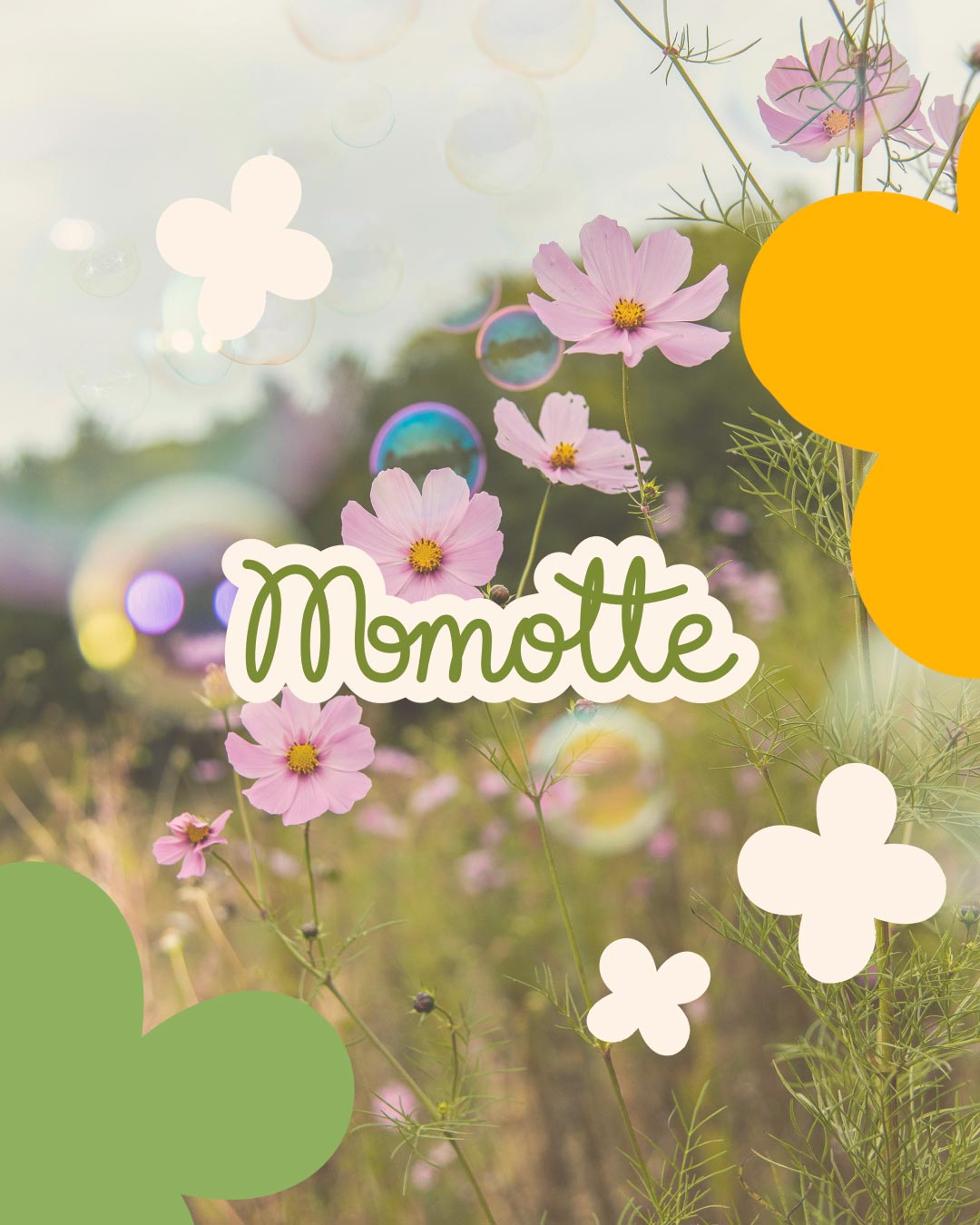solaire-studio-portfolio-projet-momotte-logo-enfantin
