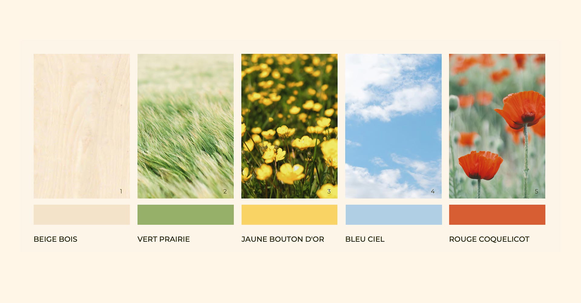solaire-studio-portfolio-projet-momotte-planche-couleurs