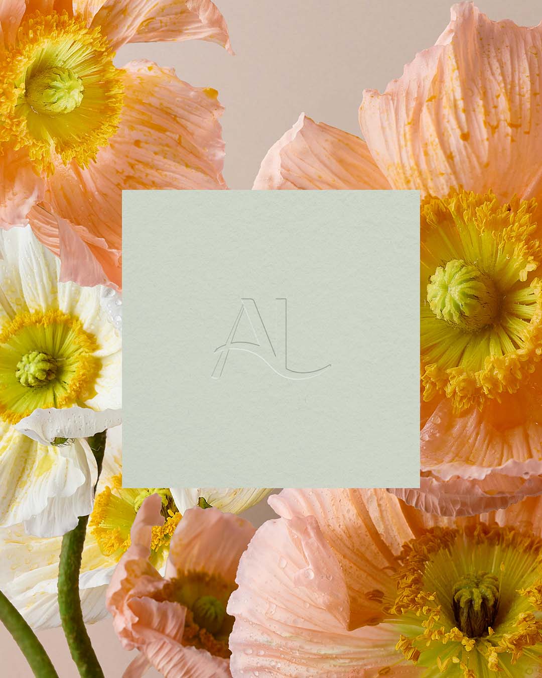 solaire-studio-portfolio-projet-aurelie-lemoine-mediatrice-familiale-logo