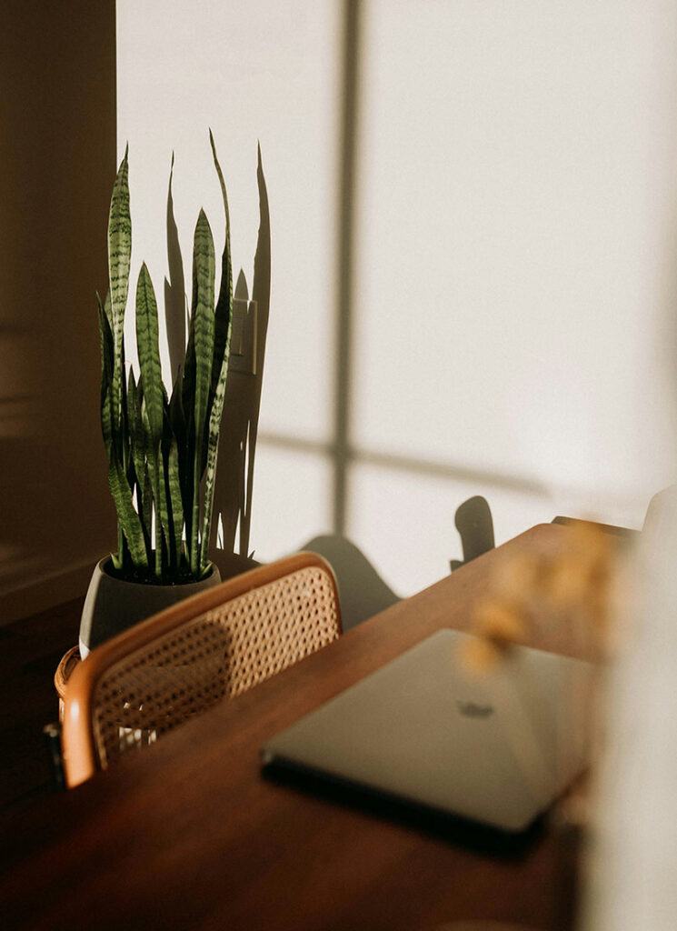solaire-studio-prestation-identite-visuelle-bureau-entrepreneuse