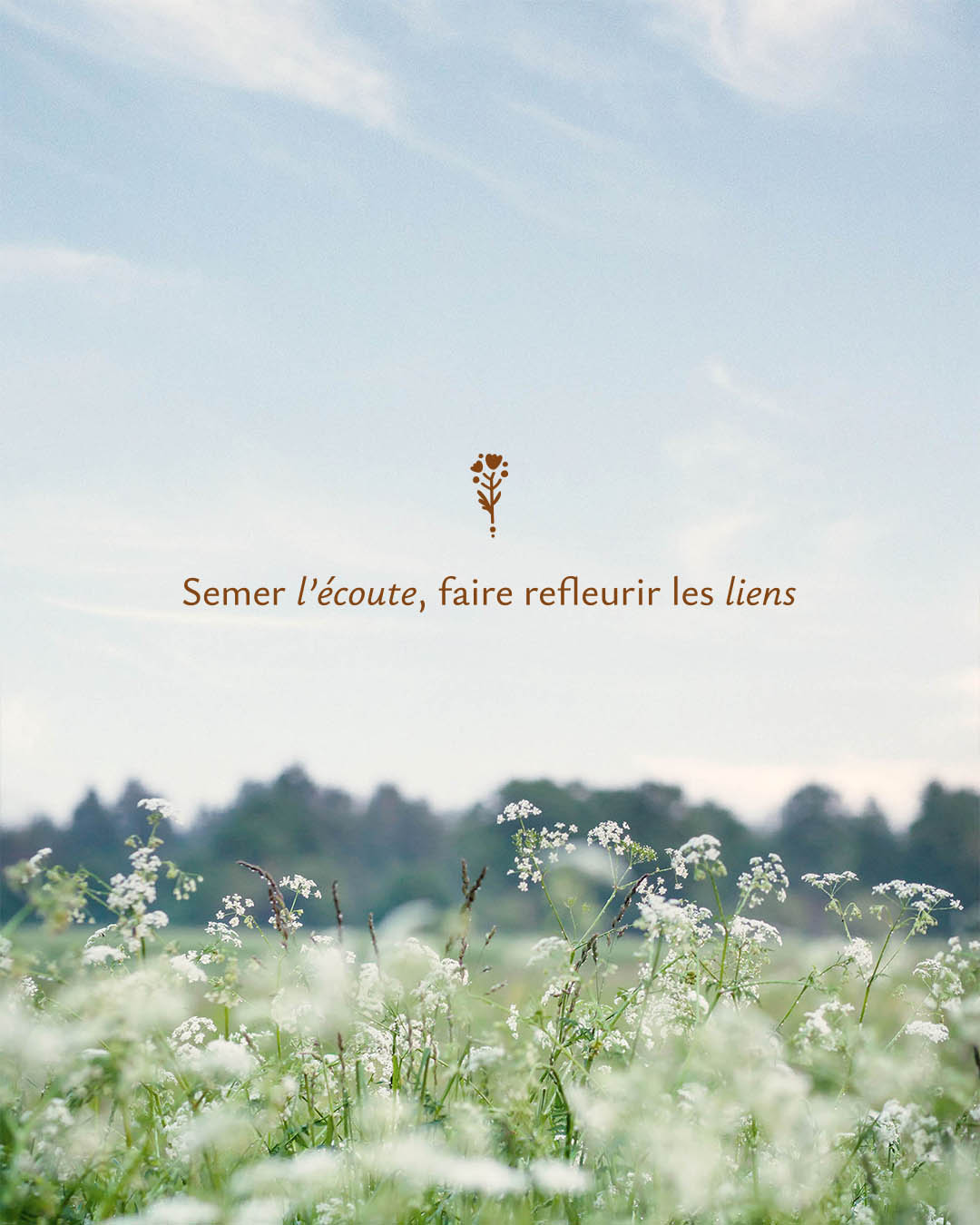 solaire-studio-portfolio-projet-aurelie-lemoine-mediatrice-familiale-baseline