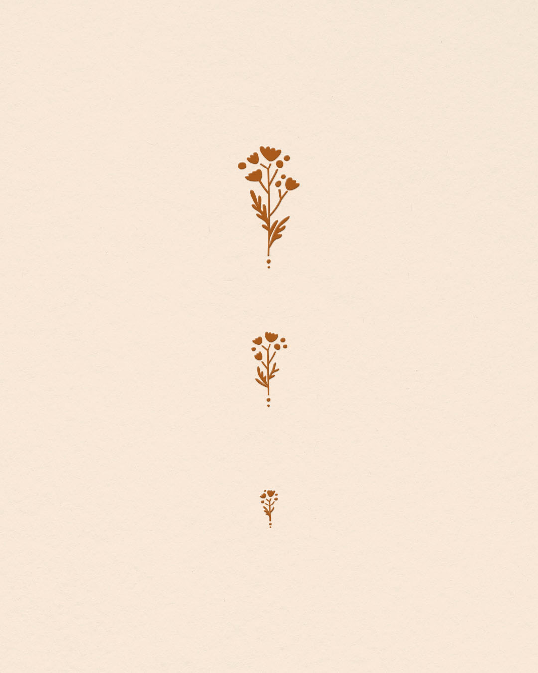 solaire-studio-portfolio-projet-aurelie-lemoine-mediatrice-familiale-fleur-tailles