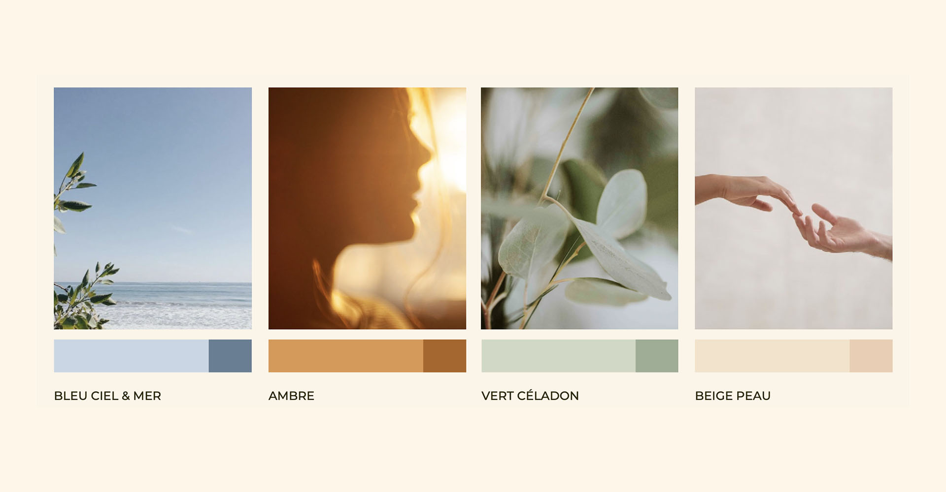 solaire-studio-portfolio-projet-aurelie-mediatrice-planche-couleurs