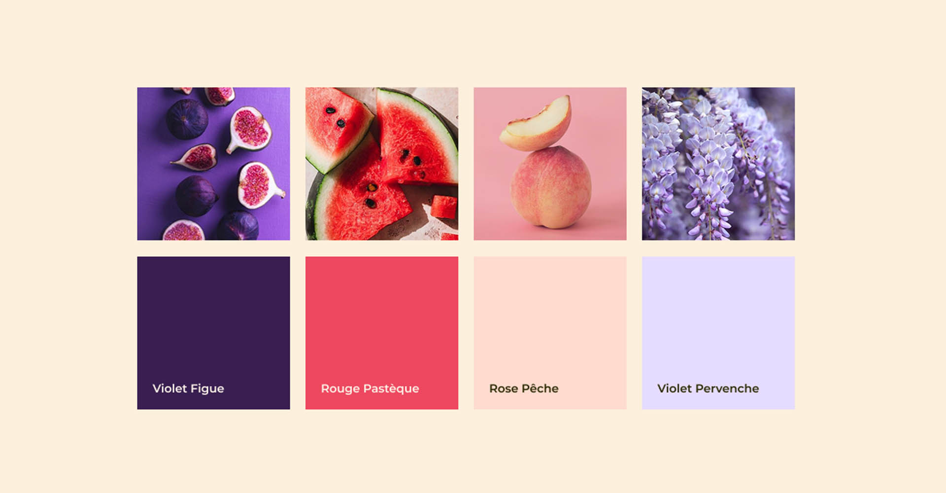 solaire-studio-portfolio-projet-estelle-stel-fitness-palette-couleurs