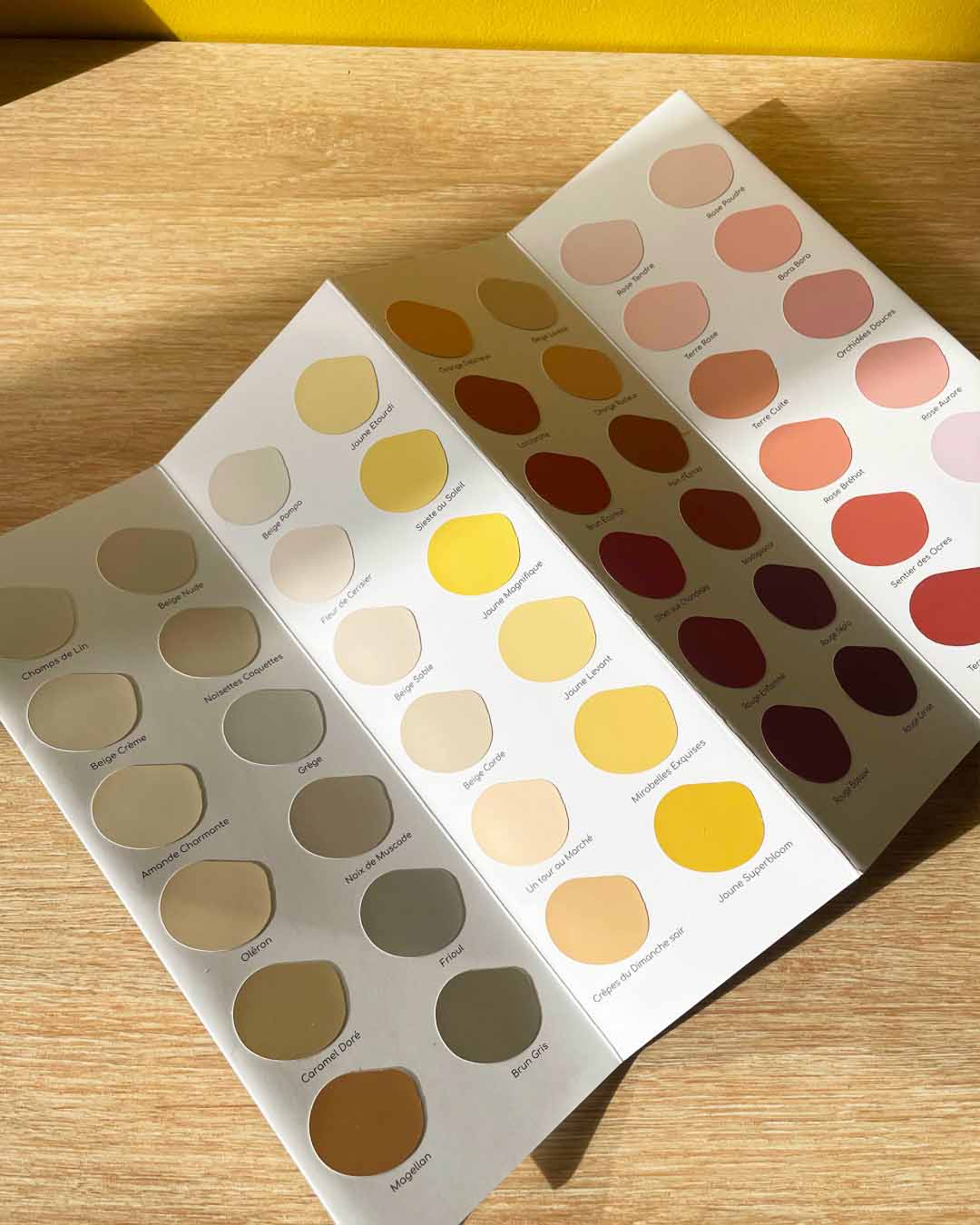 solairedesignstudio-instagram-post-couleursalgo