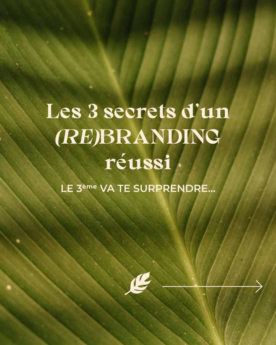 solairedesignstudio-instagram-post-rebranding