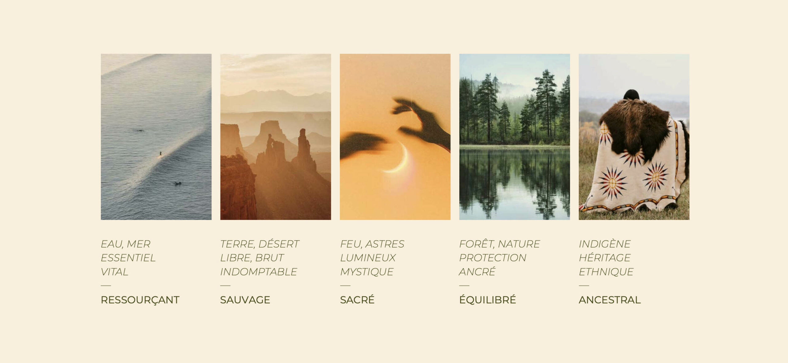 Éléments constitutifs de l'identité visuelle de Ju&June