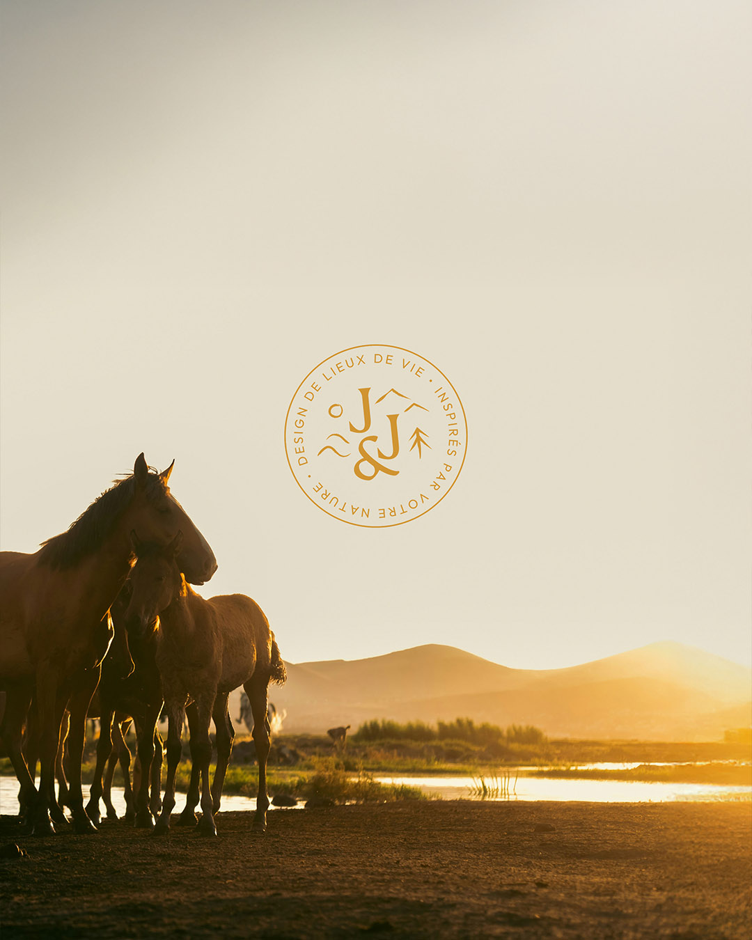Tampon logo Ju&June sur fond paysage de chevaux au soleil couchant