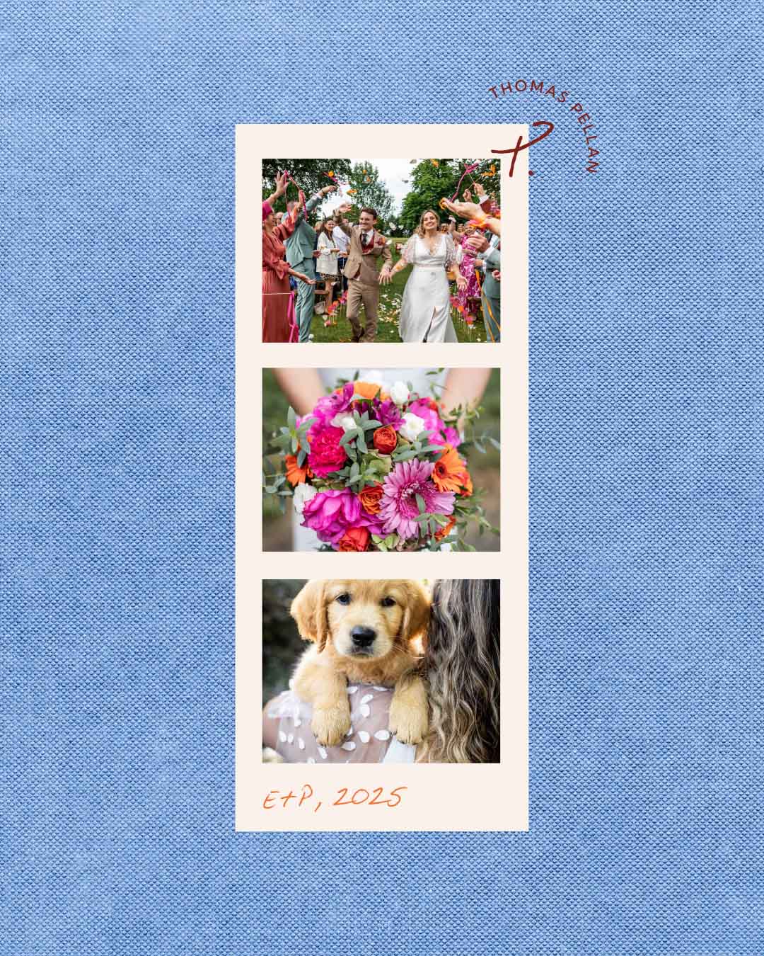 solaire-branding-thomas-photographe-mariage-pellicule