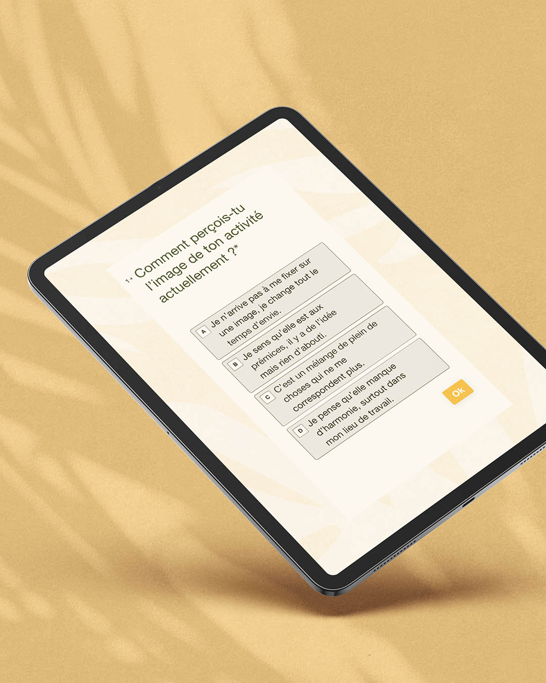 solaire-studio-ressources-quiz-activite-conseils