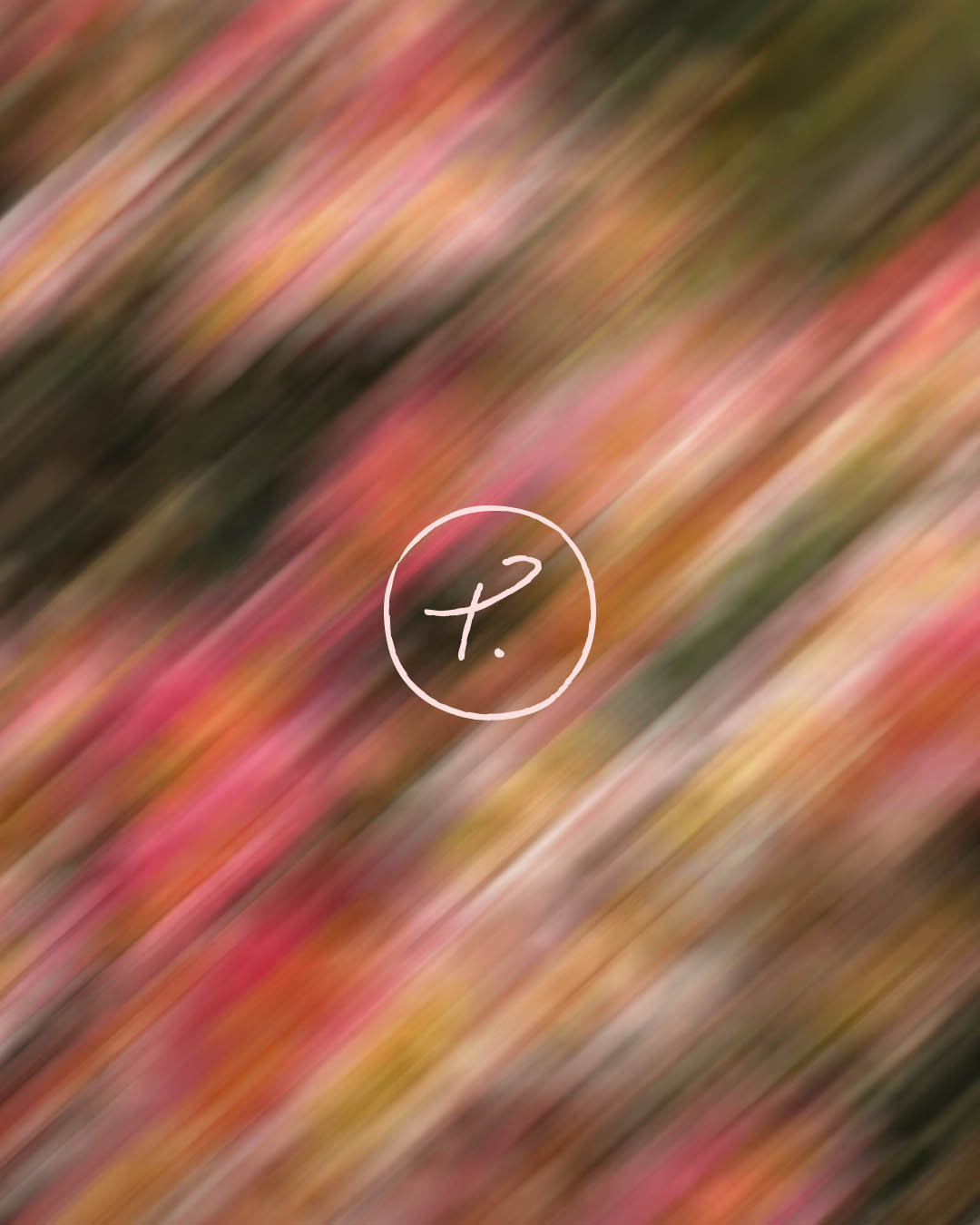 solaire-thomas-photographe-mariages-monogramme