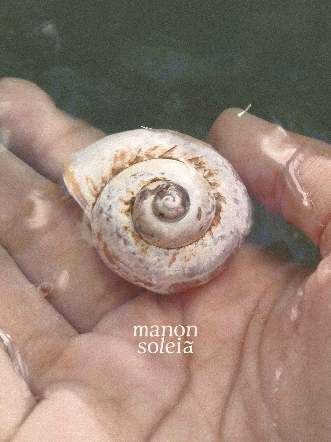 solaire-studio-portfolio-manon-soleia-holistique-energeticienne-logo-coquillage