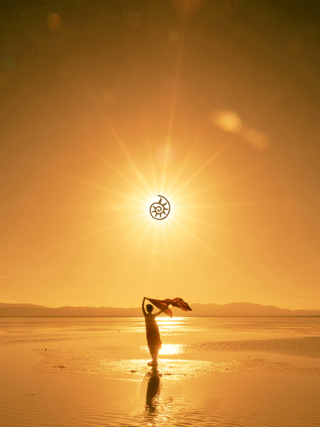 solaire-studio-portfolio-manon-soleia-holistique-energeticienne-nautile